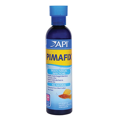 Product Cover API Pimafix Antifungal Freshwater & Saltwater Fish Remedy 8 oz Bottle