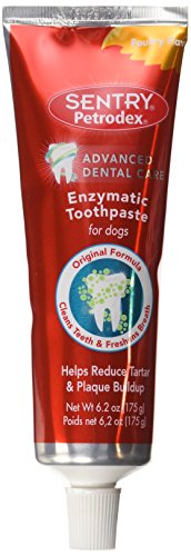 Product Cover Petrodex Enzymatic Toothpaste for Dogs, Helps Reduce Tartar and Plaque Buildup, Poultry Flavor
