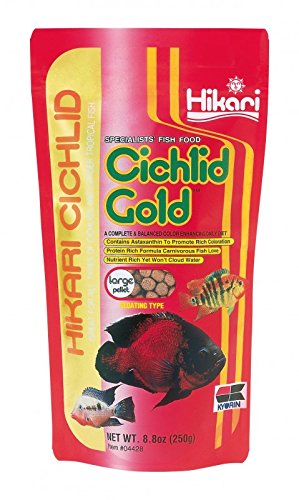 Product Cover Hikari 8.8-Ounce Cichlid Gold Floating Pellets for Pets, Mini