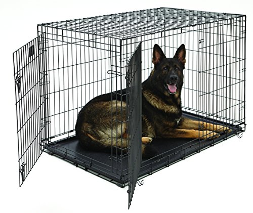 Product Cover XL Dog Crate | MidWest Life Stages Double Door Folding Metal Dog Crate | Divider Panel, Floor Protecting Feet, Leak-Proof Dog Tray | 48L x 30W x 33H Inches, XL Dog Breed