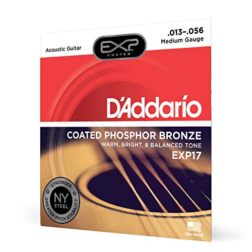 Product Cover D'Addario Accordion Accessory (EXP17), Medium, 13-56
