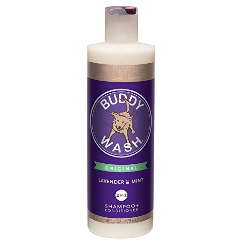 Product Cover Cloud Star Buddy Wash Dog Shampoo- Lavender and Mint, 16-Ounce Bottles (Pack of 3)