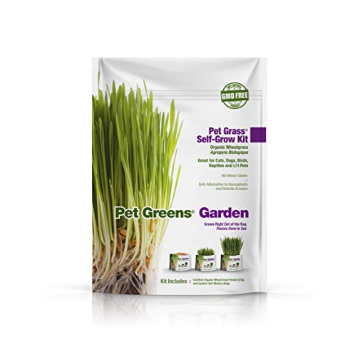 Product Cover Bell Rock Growers Pet Greens Pet Grass Organic Wheatgrass Self Grow Kit, Contains Soil Mixture and Seed Packet