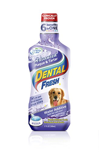 Product Cover Dental Fresh Water Additive - Advanced Plaque and Tartar Formula for Dogs - Clinically Proven, Add to Pet's Water Bowl to Whiten Teeth, Eliminate Bad Breath and Improve Oral Health (17oz)