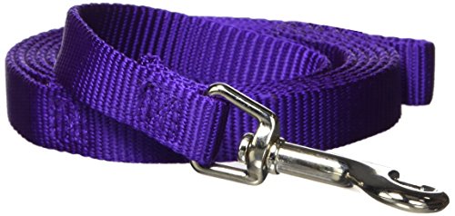 Product Cover Hamilton Single Thick Deluxe Nylon Lead with Swivel Snap, 5/8-Inch by 6-Feet, Purple