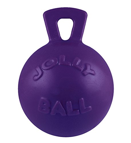 Product Cover Jolly Pets Tug-n-Toss Heavy Duty Dog Toy Ball with Handle, 6 Inches/Medium, Purple