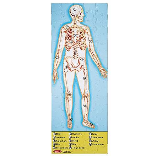 Product Cover Melissa & Doug Human Anatomy Floor Puzzle (Easy-Clean Surface, Promotes Hand-Eye Coordination, 100 Pieces, 48