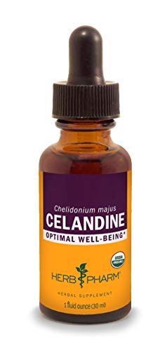 Product Cover Herb Pharm Certified Organic Celandine Liquid Extract - 1 Ounce