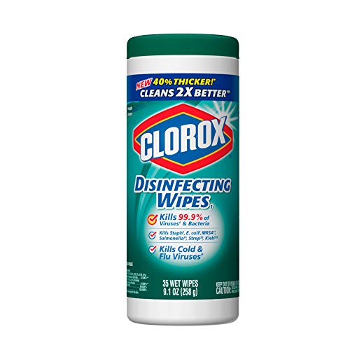 Product Cover Clorox Disinfecting Wipes Clorox 01593 Disinfecting Wipe, Fresh Scent (35 Count)