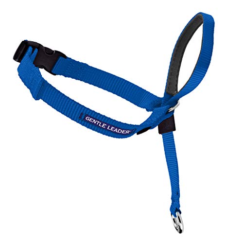 Product Cover PetSafe Gentle Leader Head Collar with Training DVD, MEDIUM 25-60 LBS., ROYAL BLUE