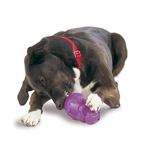 Product Cover PetSafe Busy Buddy Squirrel Dude Dog Toy - Treat Dispensing Toy - Extra Small, Small, Medium and Large Sizes