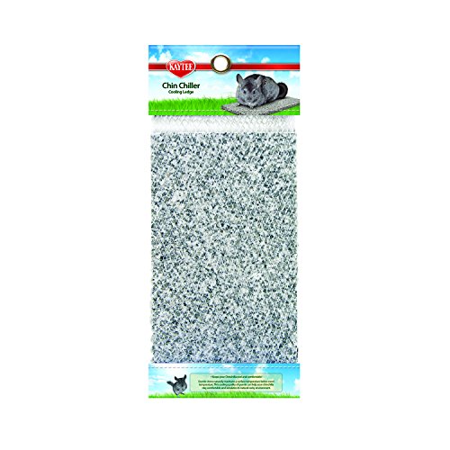 Product Cover Kaytee Chinchilla Chiller Granite Stone - 100079176