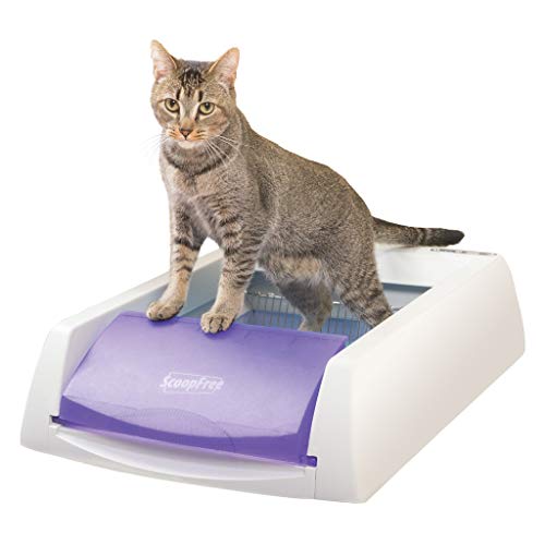 Product Cover PetSafe ScoopFree Original Self-Cleaning Cat Litter Box - Automatic with Disposable Tray and Non-Clumping Crystal Litter - Purple