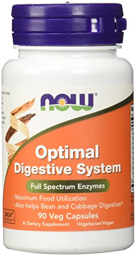Product Cover Now Supplements, Optimal Digestive System, Full Spectrum Enzymes, 90 Veg Capsules