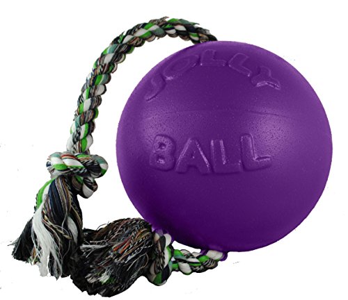 Product Cover Jolly Pets Romp-n-Roll Rope and Ball Dog Toy, 4.5 Inches/Small, Purple