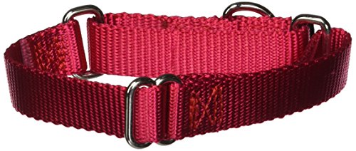 Product Cover PetSafe Martingale Collar, 3/4