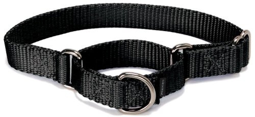 Product Cover PetSafe Martingale Collar 1