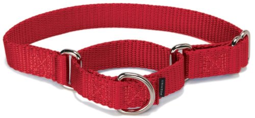 Product Cover PetSafe Martingale Collar, 3/8