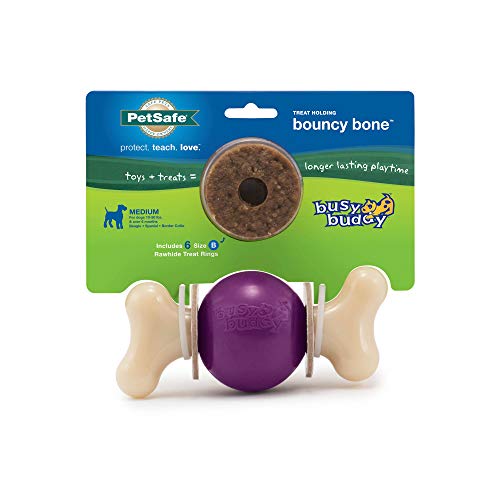 Product Cover PetSafe Busy Buddy Bouncy Bone Dog Chew Toy - Small, Medium, Medium/Large, Large