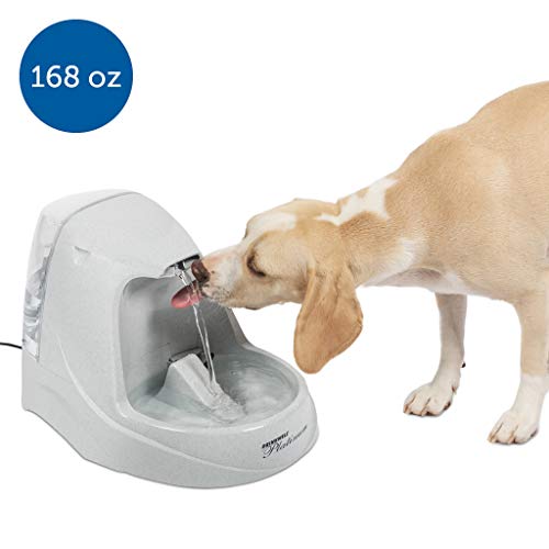 Product Cover PetSafe Drinkwell Platinum Dog and Cat Water Fountain, Automatic Drinking Fountain for Pets, 168 oz.