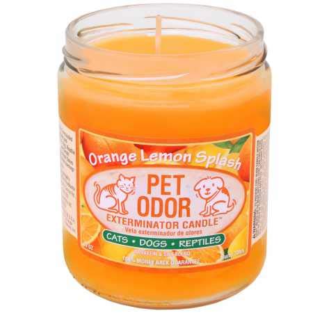 Product Cover Pet Odor Exterminator Candle Orange Lemon Splash Jar (13 oz)