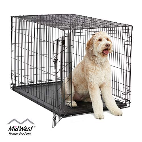 Product Cover XL Dog Crate | MidWest ICrate Folding Metal Dog Crate w/ Divider Panel, Floor Protecting Feet & Leak Proof Dog Tray | 48L x 30W x 33H Inches, XL Dog Breed, Black