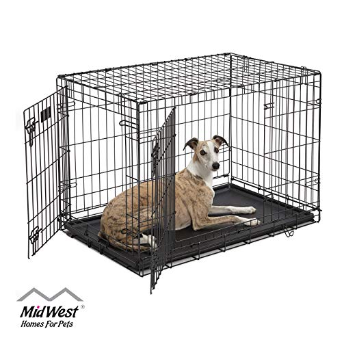 Product Cover Dog Crate 1536DDU | MidWest ICrate 36 Inches Double Door Folding Metal Dog Crate w/ Divider Panel, Floor Protecting Feet & Leak Proof Dog Tray | Intermediate Dog Breed, Black