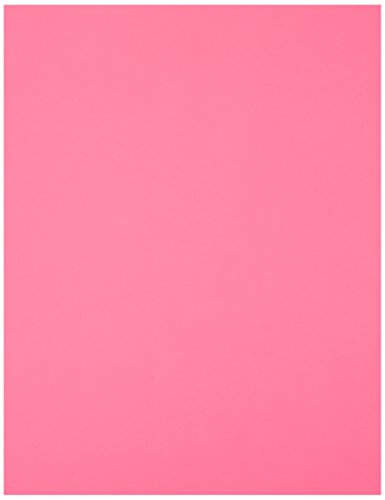Product Cover Exact Color Copy Paper, 8-1/2 x 11 Inches, 20 lb, Bright Pink, Pack of 500
