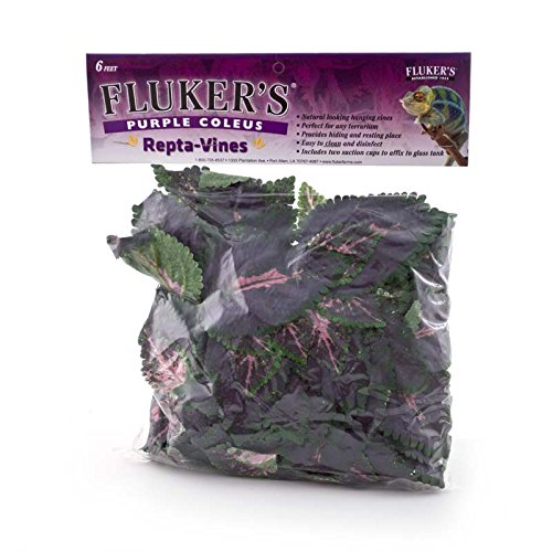 Product Cover Fluker's Repta Vines-Purple Coleus for Reptiles and Amphibians