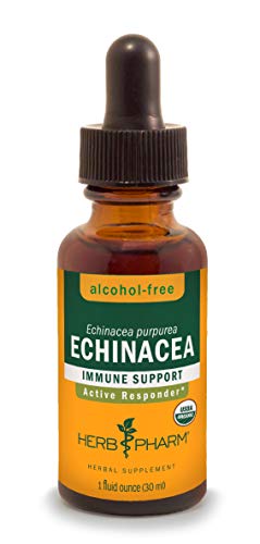 Product Cover Herb Pharm Certified Organic Echinacea Root Liquid Extract for Immune System Support, Alcohol-Free Glycerite, 1 Ounce