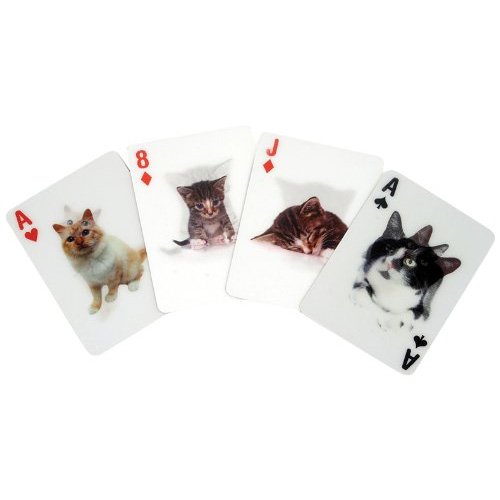 Product Cover Kikkerland Playing Cards, Cat Lenticular