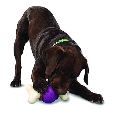 Product Cover PetSafe Busy Buddy Bouncy Bone, Treat Holding Dog Toy, Medium/Large