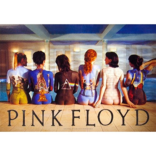 Product Cover Old Glory LPGI Pink Floyd Back Catalogue Fabric Poster, 30 by 40-Inch