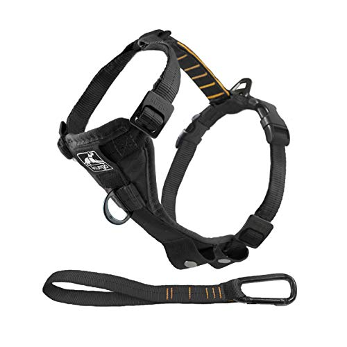 Product Cover Kurgo Dog Harness | Pet Walking Harness | Small | Black | No Pull Harness Front Clip Feature for Training Included | Car Seat Belt | Tru-Fit Quick Release Style