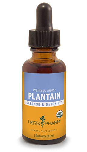Product Cover Herb Pharm Certified Organic Plantain Liquid Extract for Cleansing and Detoxification - 1 Ounce