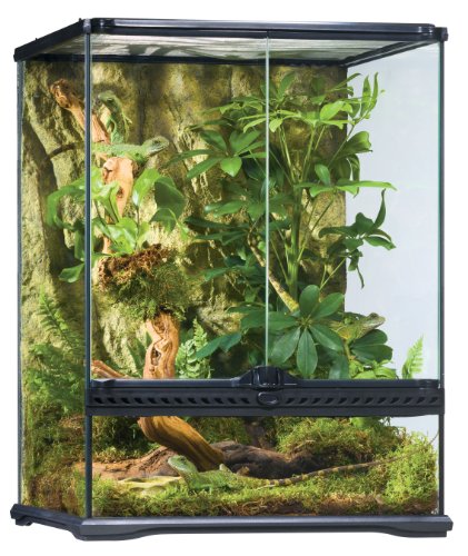 Product Cover Exo Terra Rainforest Habitat Kit (includes PT2607) - Medium
