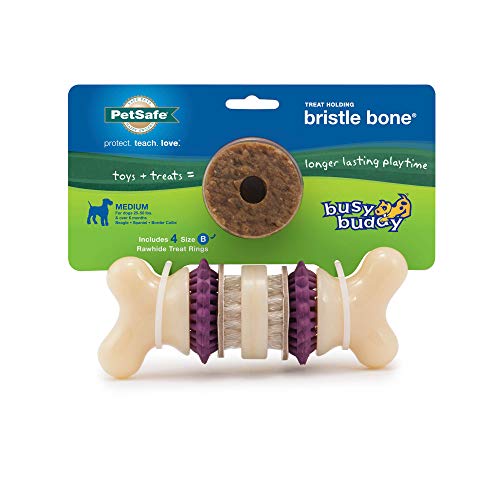 Product Cover PetSafe Busy Buddy Bristle Bone Chew Toy for Dogs - Strong Chewers - Helps Clean Teeth -Purple, Medium