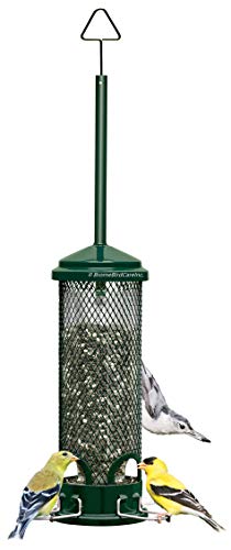 Product Cover Squirrel Buster Mini Squirrel-proof Bird Feeder w/4 Metal Perches, 0.98-pound Seed Capacity