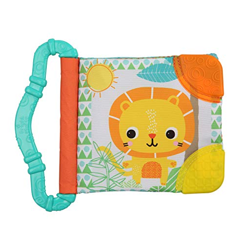 Product Cover Bright Starts Teethe & Read Toy, Style May Vary