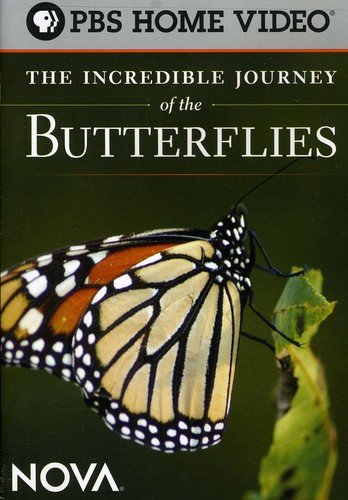 Product Cover The Incredible Journey of the Butterflies