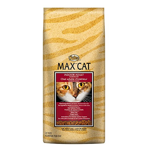Product Cover Nutro Max Cat Indoor Adult Salmon Flavor Dry Cat Food 6 Pounds