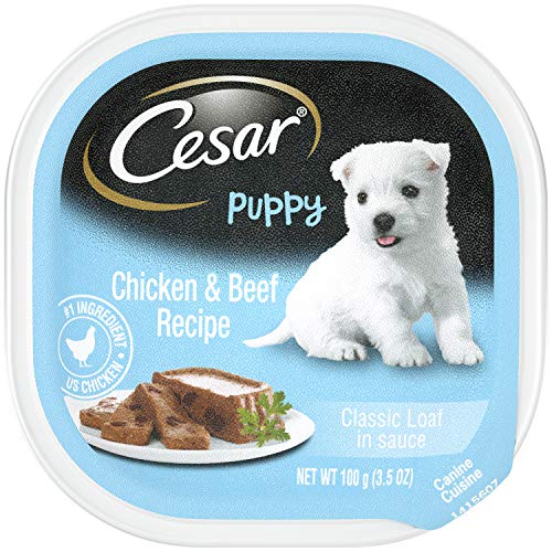 Product Cover CESAR Puppy Soft Wet Dog Food Classic Loaf in sauce Chicken & Beef Recipe, (24) 3.5 oz. Easy Peel Trays
