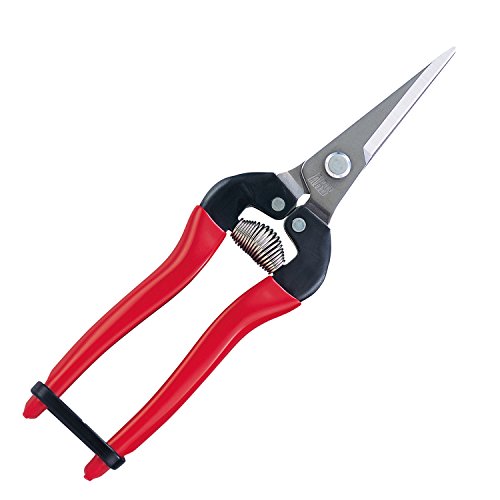 Product Cover ARS HP-300LDX Stainless Steel Needle Nose Fruit Pruners