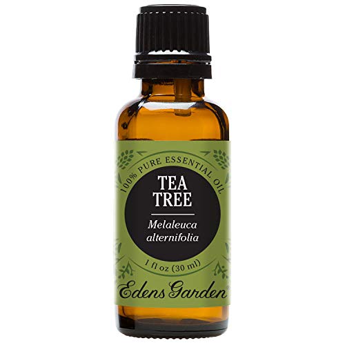 Product Cover Tea Tree (Melaleuca) 100% Pure Therapeutic Grade Essential Oil- 30 ml