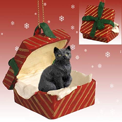 Product Cover Conversation Concepts Black Shorthaired Tabby Cat Gift Box Red Ornament