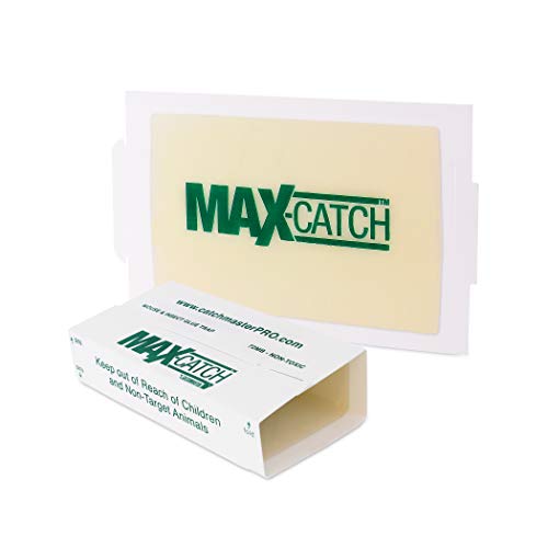 Product Cover Catchmaster AA1170 72MAX Pest Trap, 72 Pack, White