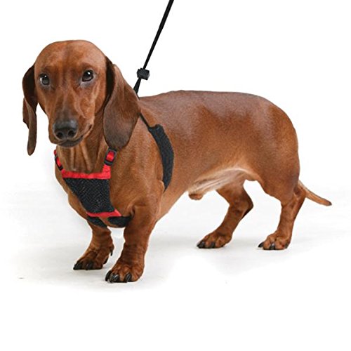 Product Cover SPORN! Nylon Non Pulling Dog Harness, Small, Red