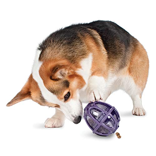 Product Cover PetSafe Busy Buddy Kibble Nibble Meal Dispensing Dog Toy, Small - PTY00-13739