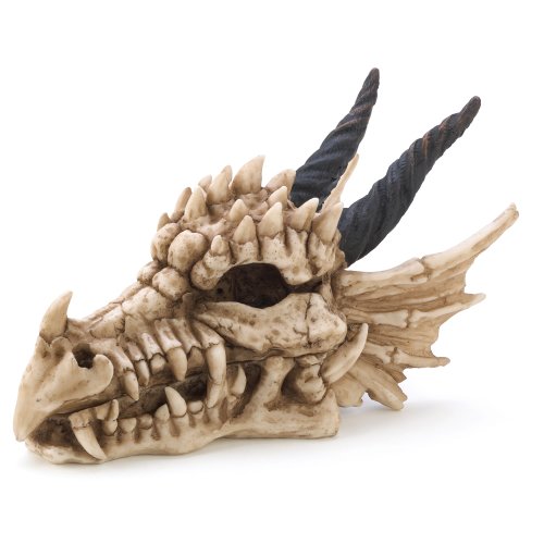 Product Cover Snarling Magical Dragon Skull Treasure Trinket Box