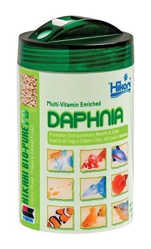 Product Cover Hikari Bio-Pure Freeze Dried Daphnia for Pets, 0.42-Ounce